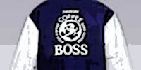 boss.jpg(17426 byte)